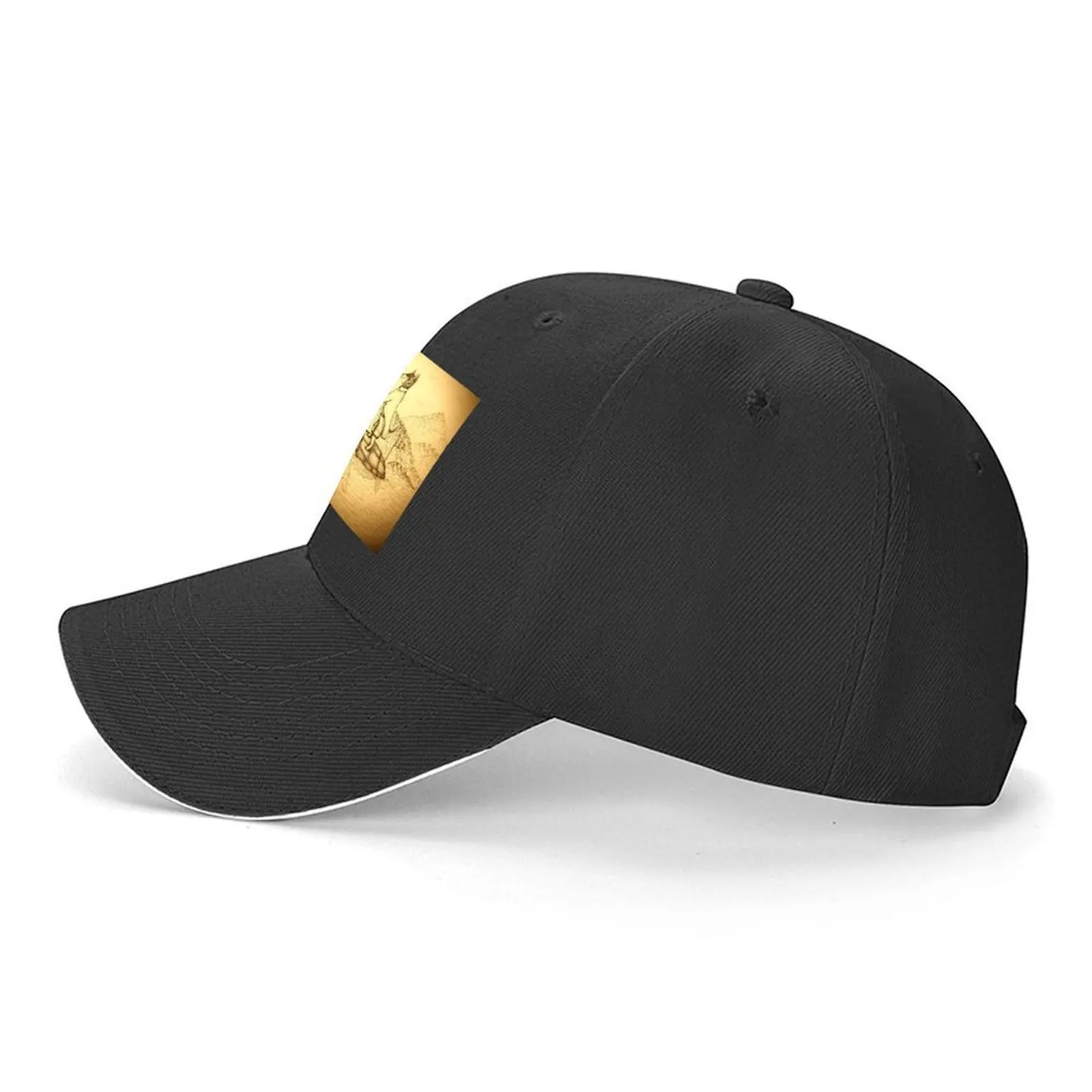The Cat and the Turtle Adventu - Outdoor Adventure Brand review and price