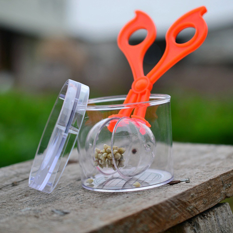 1-3pcsBug Insect Catcher Sciss - Outdoor Adventure Usa review and price